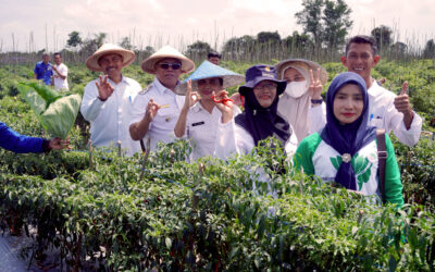 Kendalikan Inflasi, BI Babel dan Pemkab Beltim Launching Klaster Cabai