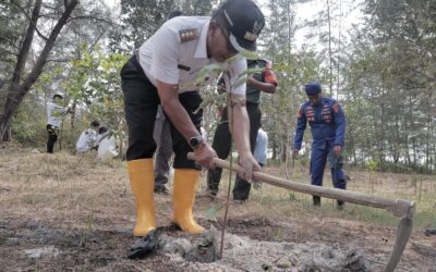 Peringati Hari Mangrove Dunia, Pemkab Beltim Apresiasi KPLPB