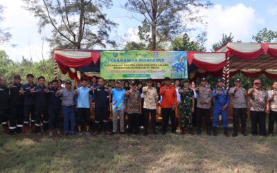 Karang Taruna Gemilang Tanam 2500 Bibit Mangrove