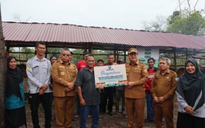 Bupati Beltim Serahkan 12 Sapi Bantuan APBD II untuk Kelompok Ternak Mang Jaya